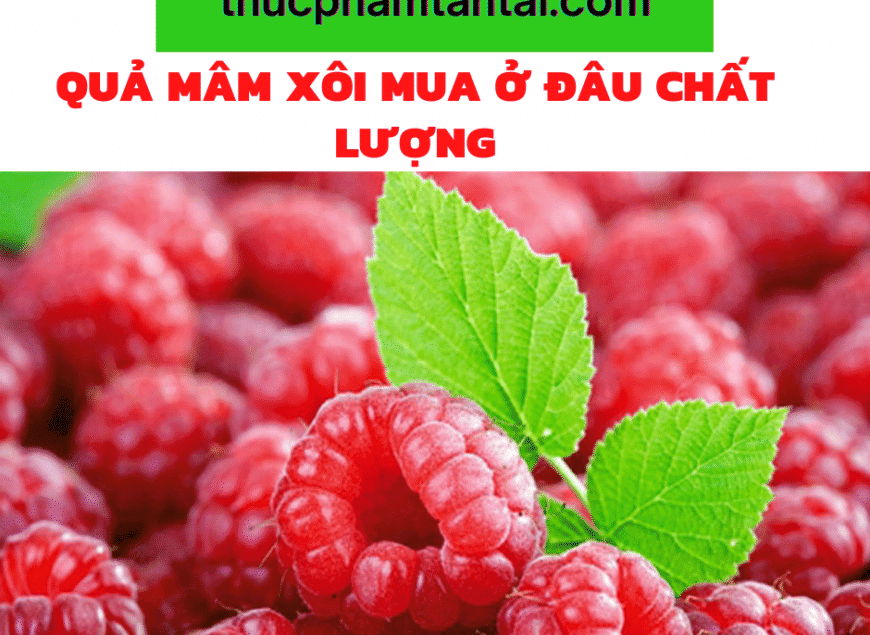 quả-mâm-xôi-mua-ở-đâu