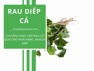rau-diep-ca