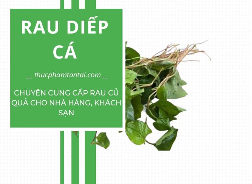 rau-diep-ca