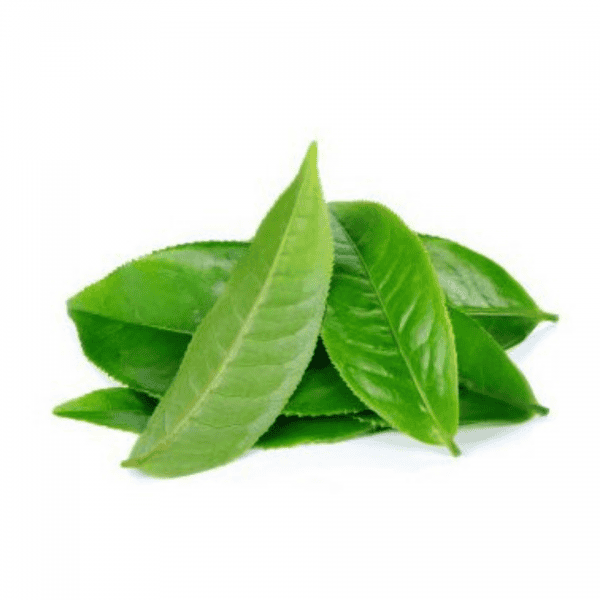 lá-trà-xanh