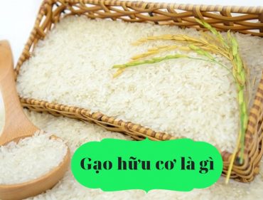 gạo hữu cơ là gạo gì