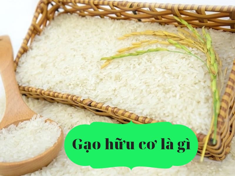 gạo hữu cơ là gạo gì