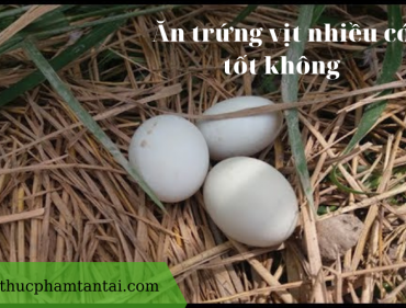 an-trung-vit-nhieu-co-tot-khong