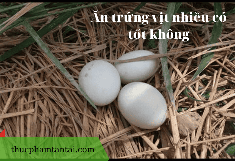 an-trung-vit-nhieu-co-tot-khong