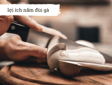 loi-ich-nam-dui-ga