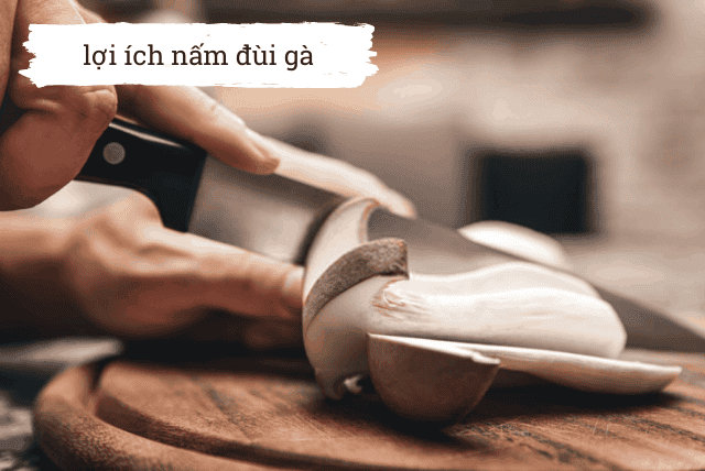 loi-ich-nam-dui-ga