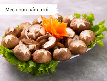 meo-chon-nam-tuoi