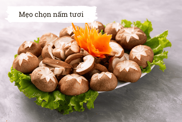 meo-chon-nam-tuoi