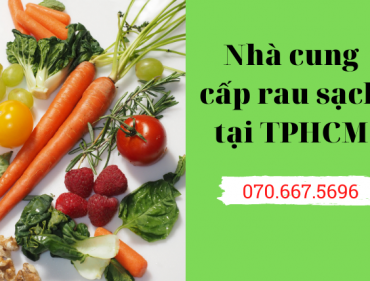 nha-cung-cap-rau-sach-tai-tphcm