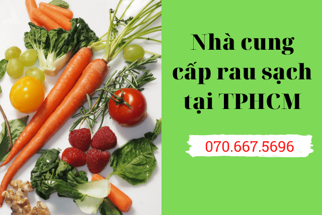 nha-cung-cap-rau-sach-tai-tphcm