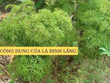 cách-làm-bánh-khoai-mì-nướng-đậu-xanh (1)