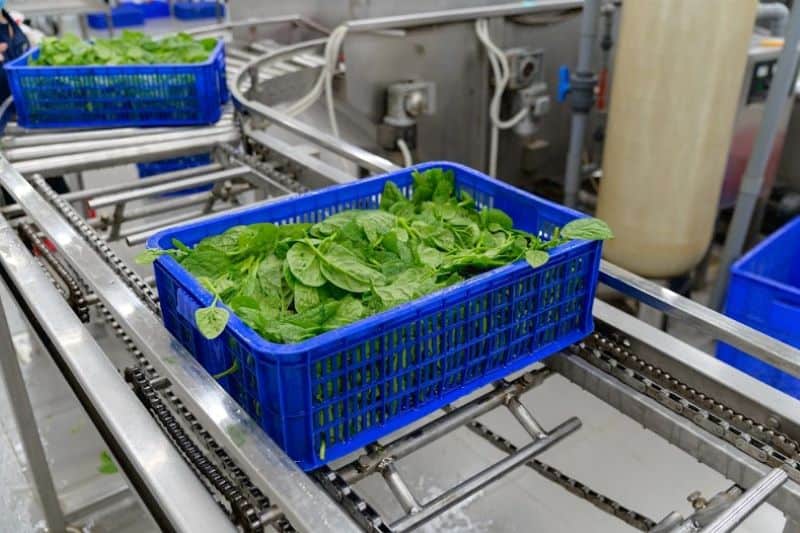 giấy phép vệ sinh an toàn thực phẩm