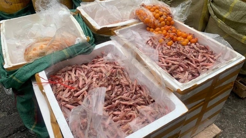 thực phẩm bẩn là gì