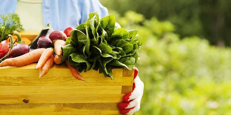 thực phẩm tự nhiên là gì,