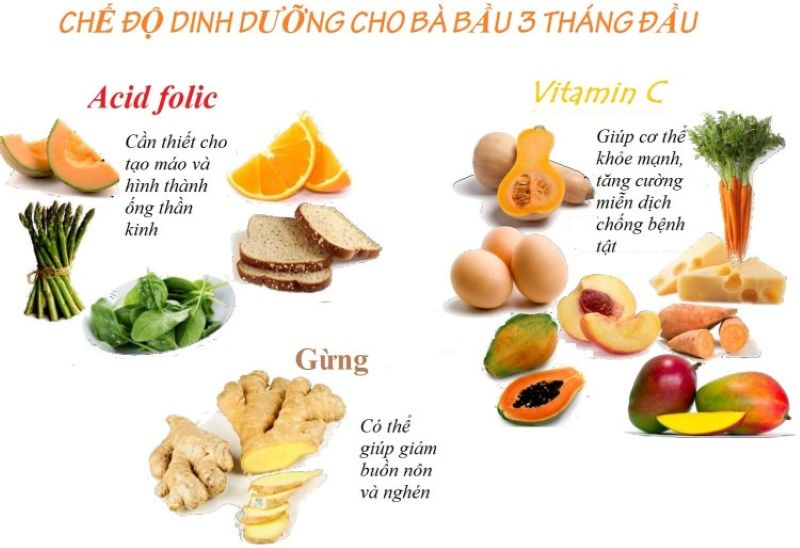 Bầu nên ăn gì