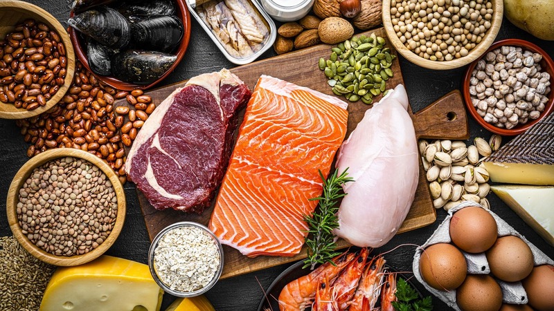 chất protein