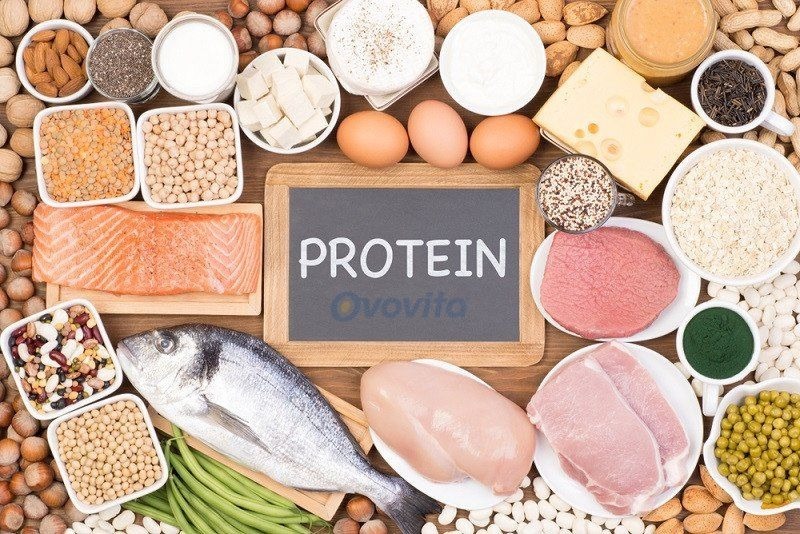 chất protein