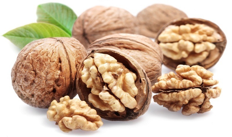 protein từ thực vật