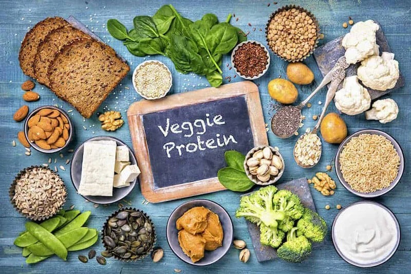 protein từ thực vật