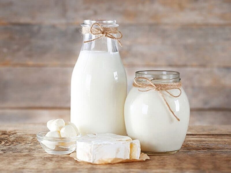 sữa nhiều protein