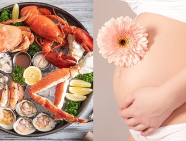 Bà Bầu Nên Ăn Hải Sản Gì