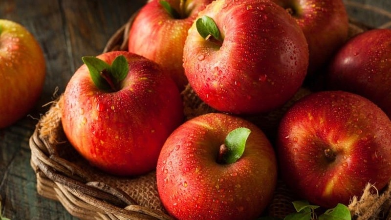 Bầu Nên Ăn Trái Cây Gì Tốt Nhất