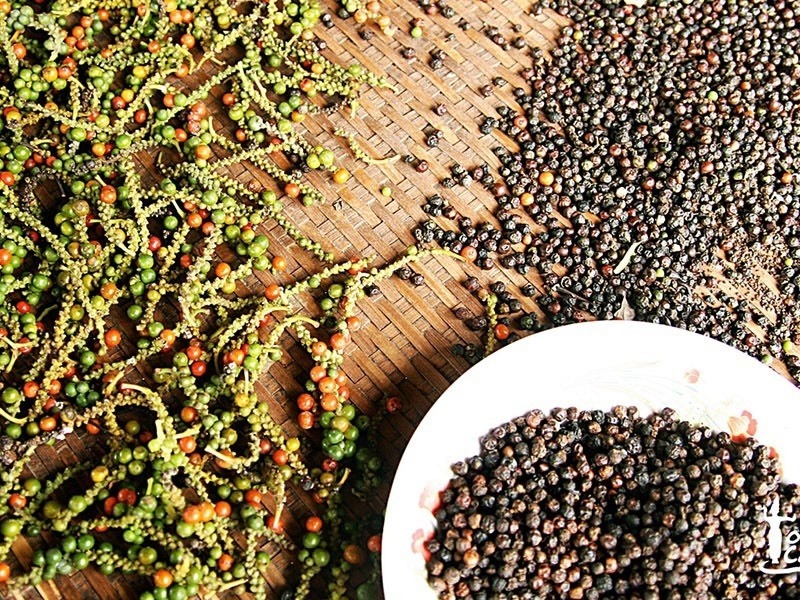 Các loại nông sản