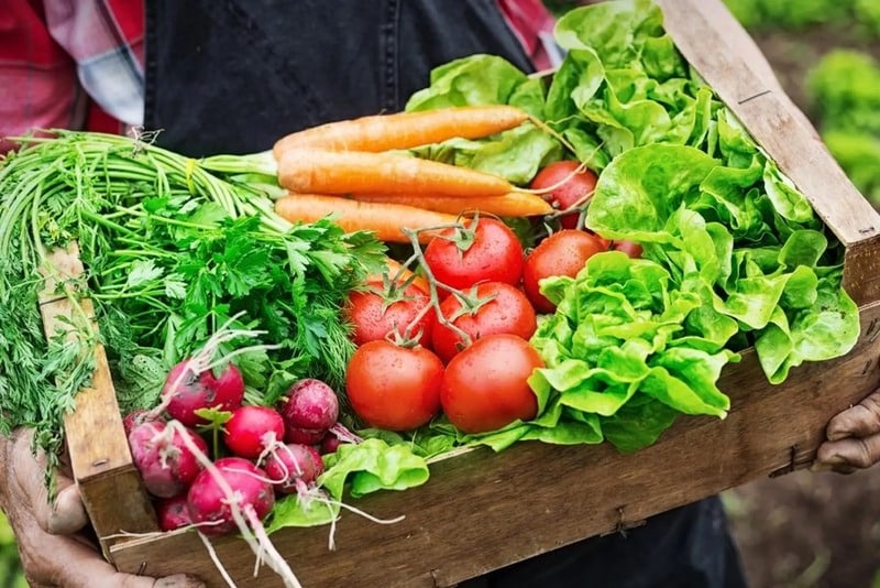 Thực phẩm Organic là gì