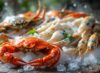 Hải sản tươi sống cho nhà hàng gồm cua, tôm hùm, mực và hàu trên đá lạnh tại TPHCM